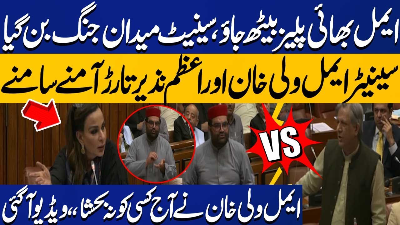 Aimal Wali Khan Heavy Clash with Azam Nazeer Tarar in Senate | Fiery Speech | Capital TV