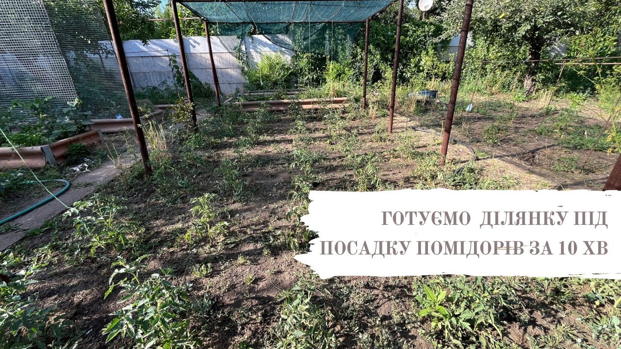 Як підготувати ділянку під посадку томатів? Робимо арку для огірків. Нарешті працюю не один)