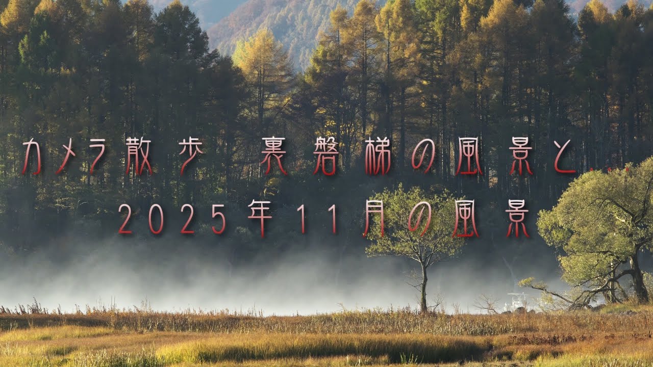 カメラ散歩　裏磐梯の風景と... 2025年11月の風景