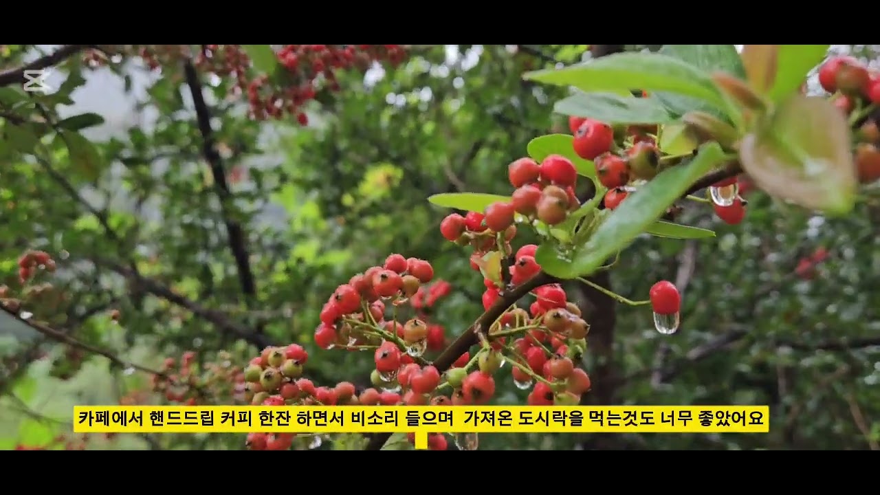 충북 영동 월류봉 둘레길 #월류봉둘레길 #월류정 #한폭의수묵화 #여울소리길 #산새소리길 #풍경소리길 #달을걷는길  #한천팔경 
