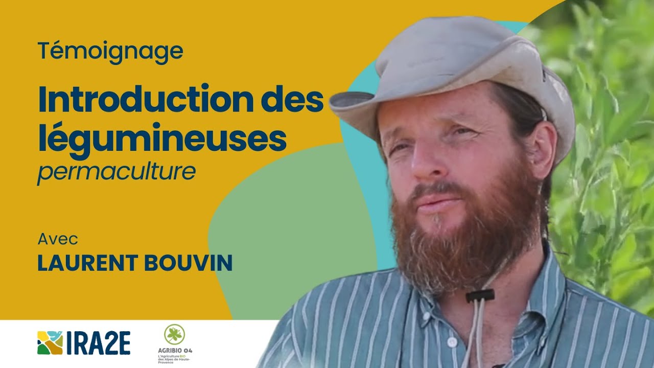 L'auto fertilité : intégrer les légumineuses en permaculture