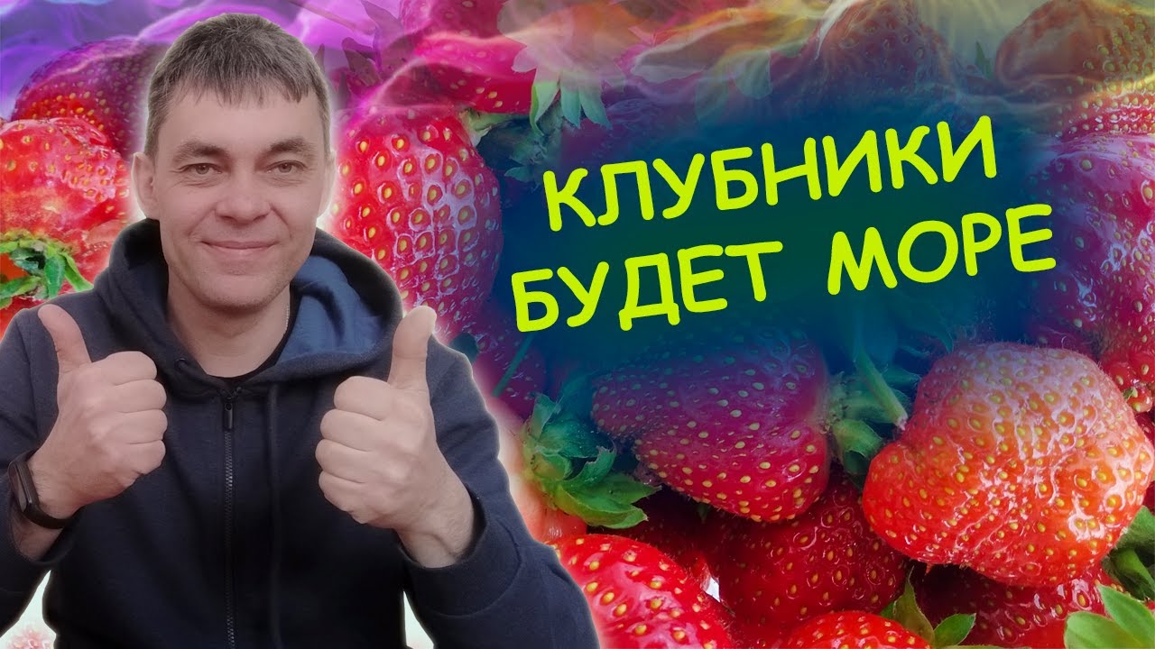ПОДКОРМКА КЛУБНИКИ ВЕСНОЙ ДЛЯ БОЛЬШОГО УРОЖАЯ🍓🍓🍓 Как выращивать клубнику #garden