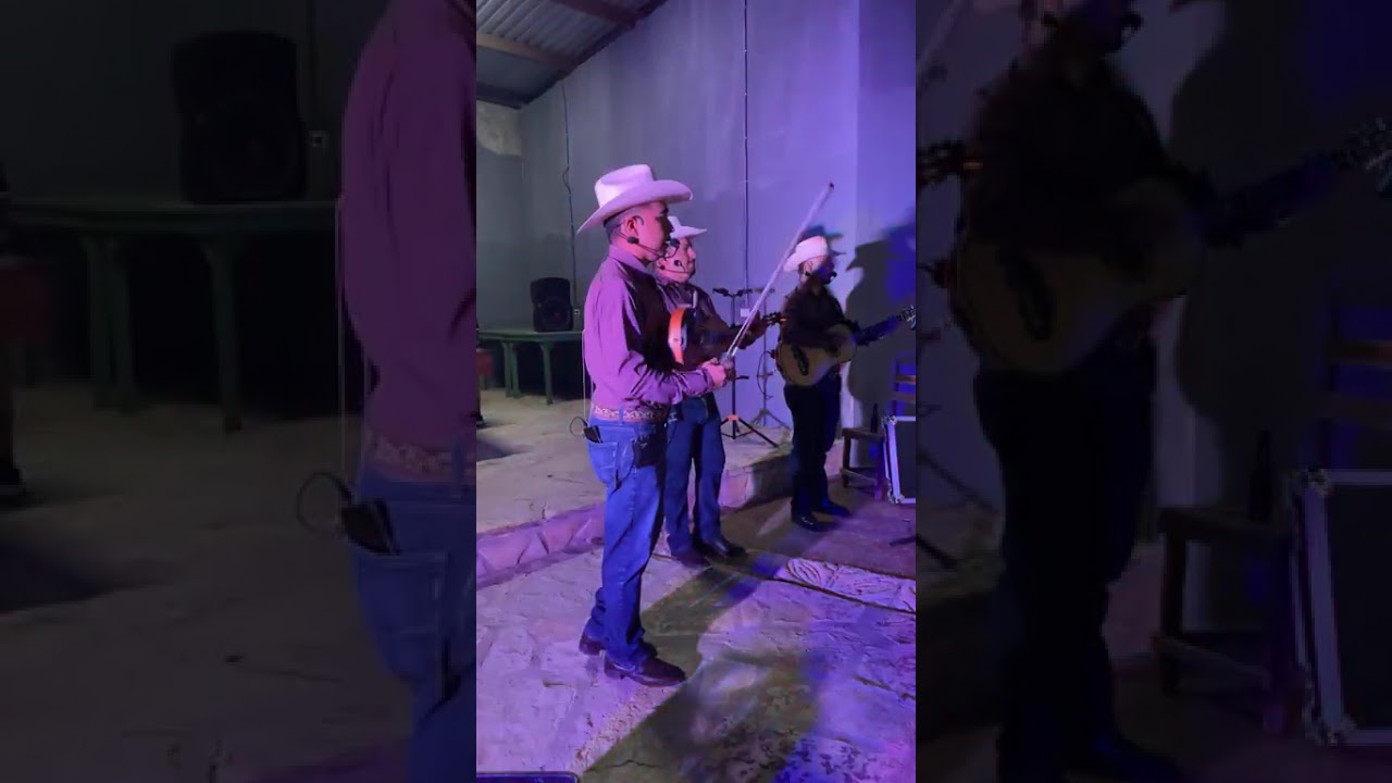 Jilgueros de González: huapangos, norteñas y más...