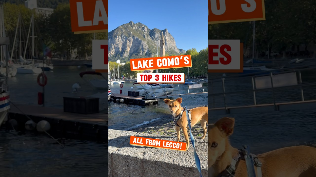 Lake Como&rsquo;s top 3 hikes (all from Lecco!) 🌄🐕 #lakecomo #lecco #dogfriendlytravel #hikingadventures