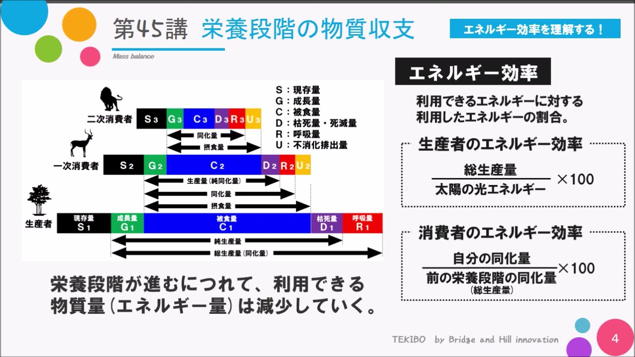 【高校講座 生物基礎】第45講「物質収支」