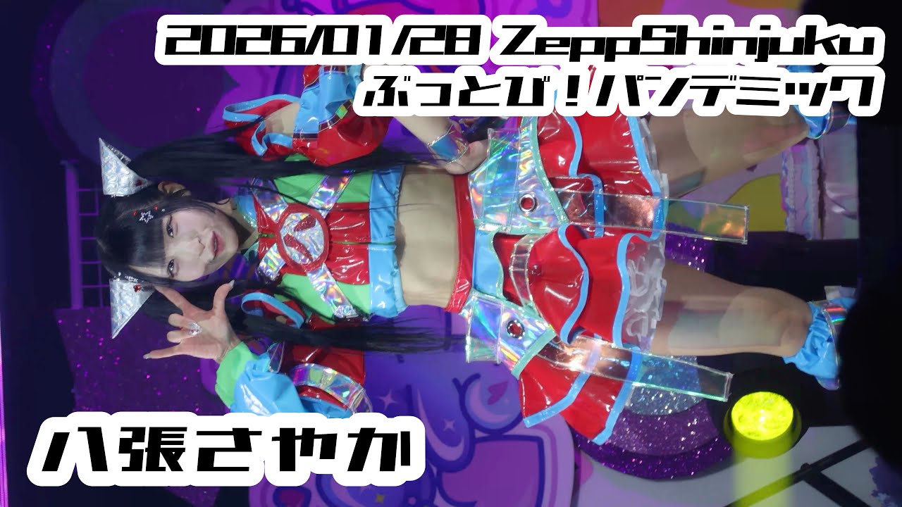 【ぶっとび！パンデミック】2026/01/28 ZeppShinjuku 八張さやか #八張さやか #ぶっパン #ぶっとびパンデミック #はじめの定点観察 #もぶぴの定点観察【推しカメラ】