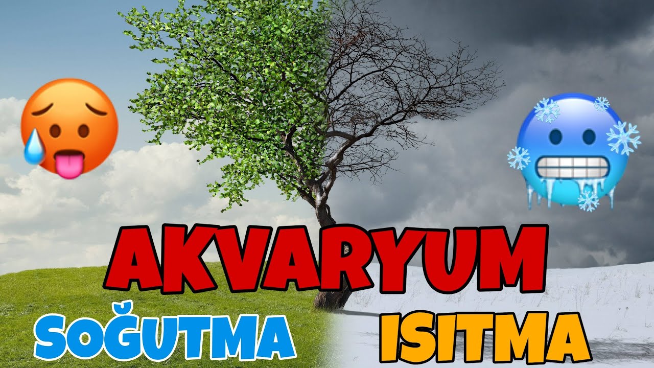 Akvaryumda Soğutma ve Isıtma (Tüm Detaylarıyla-Maliyeti Düşük Çözümler)