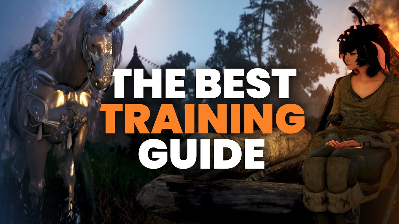 The ONLY Horse Training Guide You&rsquo;ll Ever Need in 2025 | Black Desert Online