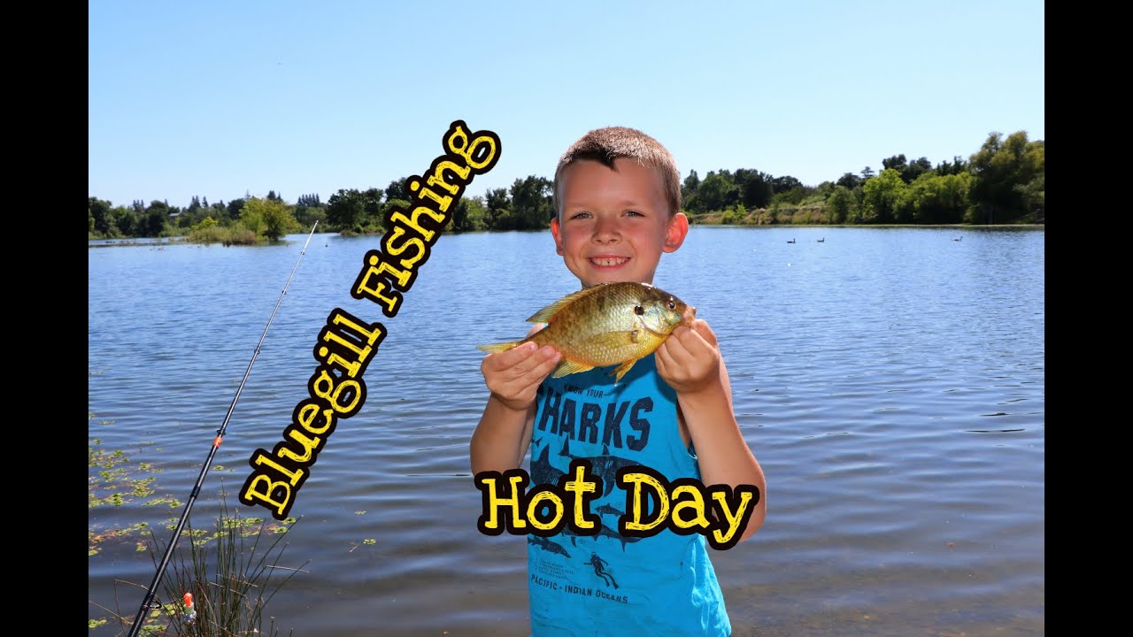 William Pond fishing