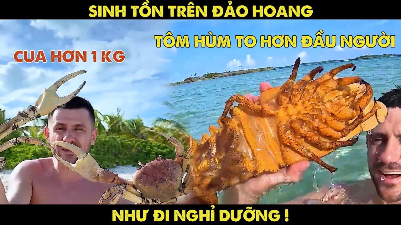 Đi Sinh Tồn Mà Như Đi Nghỉ Dưỡng, Thanh Niên Khiến Cả Đảo Hoang Thành Tiệc Buffet Hải Sản