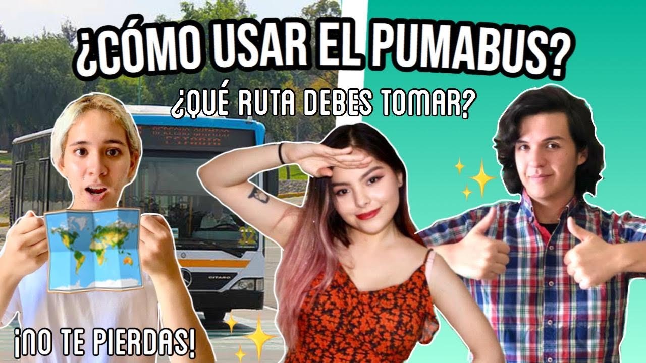 ¡CONOCE LAS RUTAS DEL PUMABUS EN CU! | LA SECTA DE LOS LIBROS