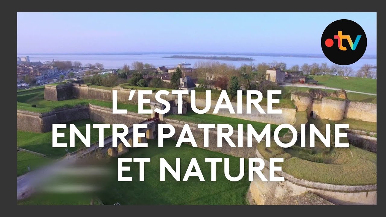 L'estuaire de la Gironde en hiver : Blaye et ses environs (3/3)