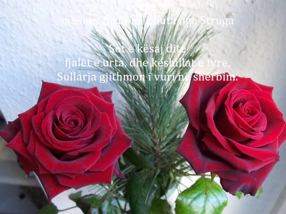 Sullare - Yjet e dijes