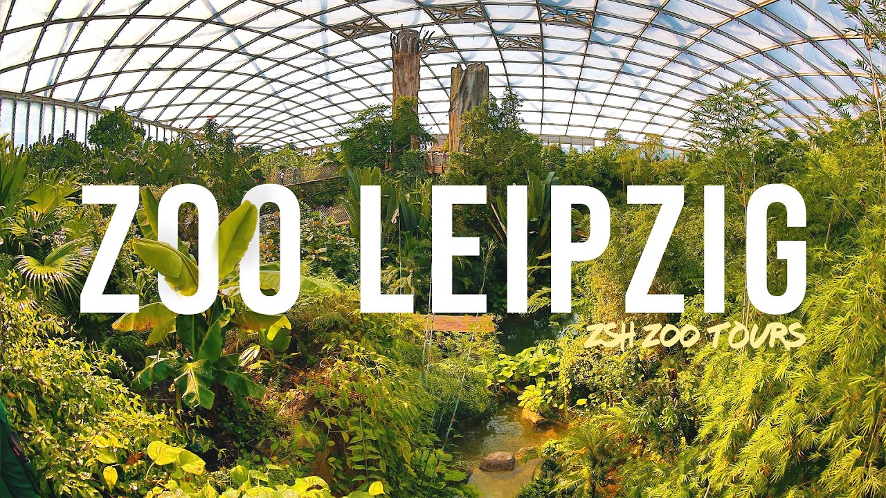 Zoo Leipzig Tour | The Best Zoo in Germany?