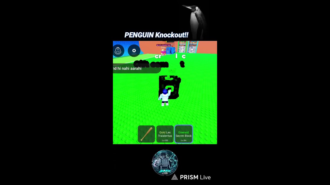 Penguin Knockout Roblox live 🔥 🐧 #Roblox #knockout #live