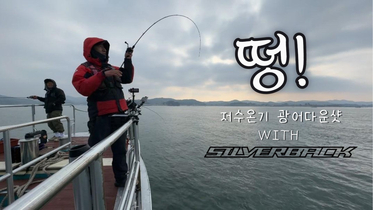 보령권 광어다운샷이 시작되었습니다.