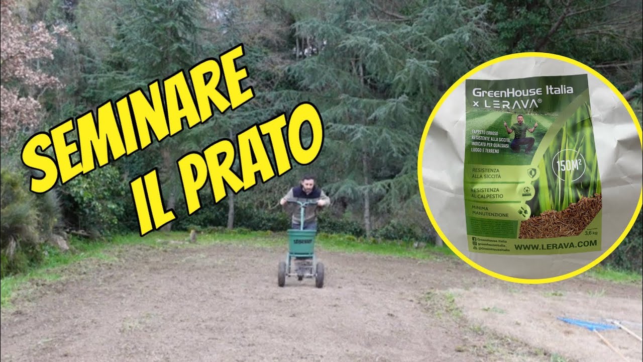 Semina del prato  in primavera - miscuglio Champion Lerava - microterme (parte 2)