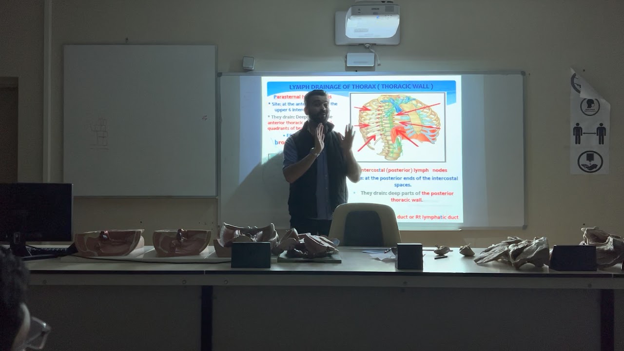 H&I II Anatomy - Lymphatic Drainage of Thorax By Dr.Mohammed Ramadan