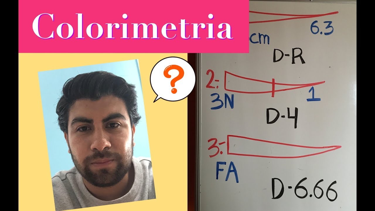 colorimetria | estilista exitoso | ejercicios básicos |