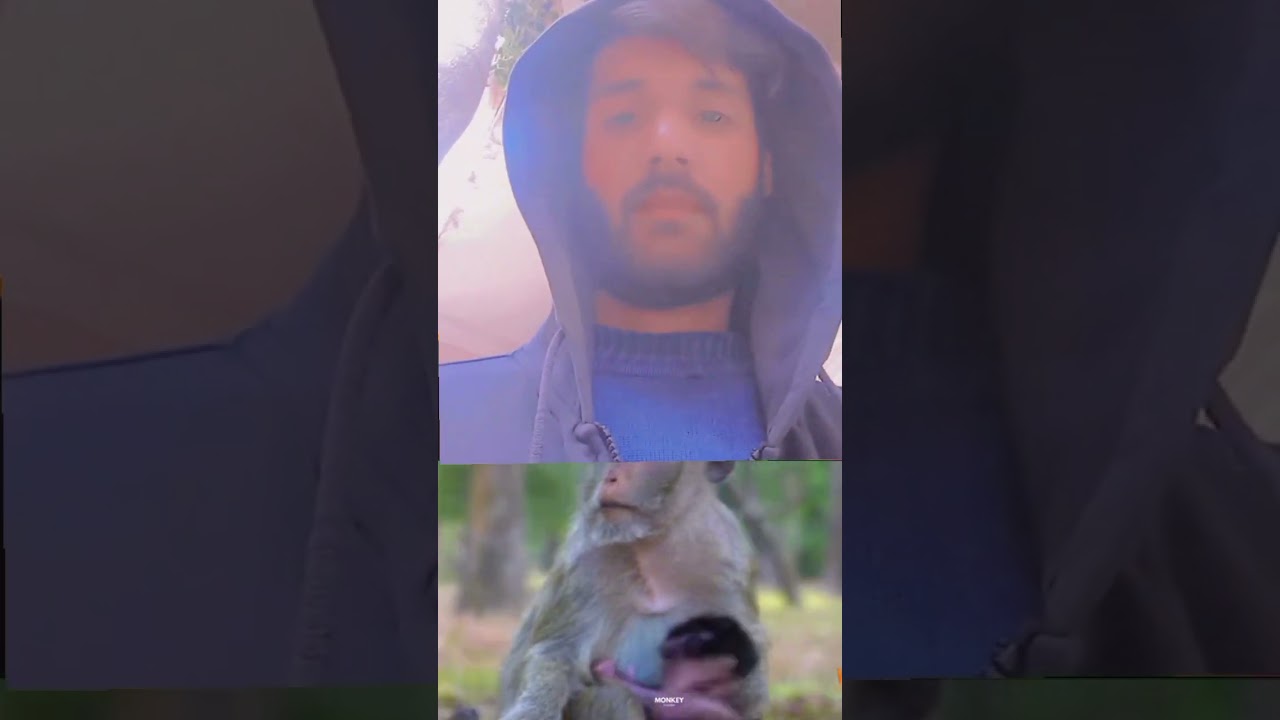 cute baby monkey happy time