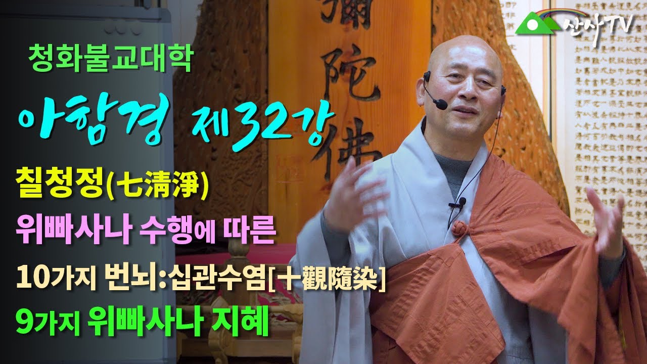 불교대학/대주스님/아함경 제32강/칠청정(七淸淨)/위빠사나 수행에 따른 10가지 번뇌 십관수염[十觀隨染]/9가지 위빠사나 지혜/
