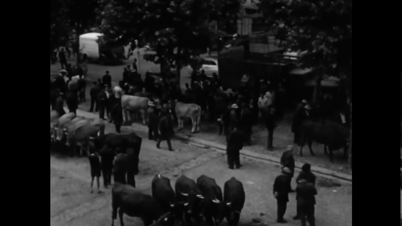 1960 - Marché aux bestiaux de Villefranche-de-Rouergue (Aveyron)
