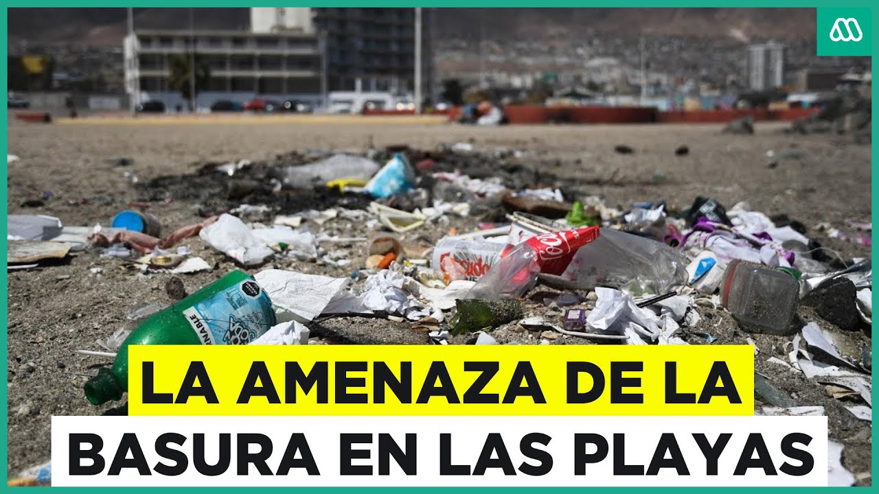 La amenaza de la basura en las playas: Las consecuencias de tirar desechos al borde del mar