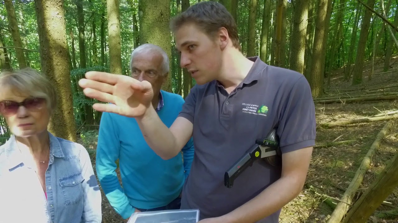 L'accompagnement des propriétaires de petites parcelles forestières en Wallonie