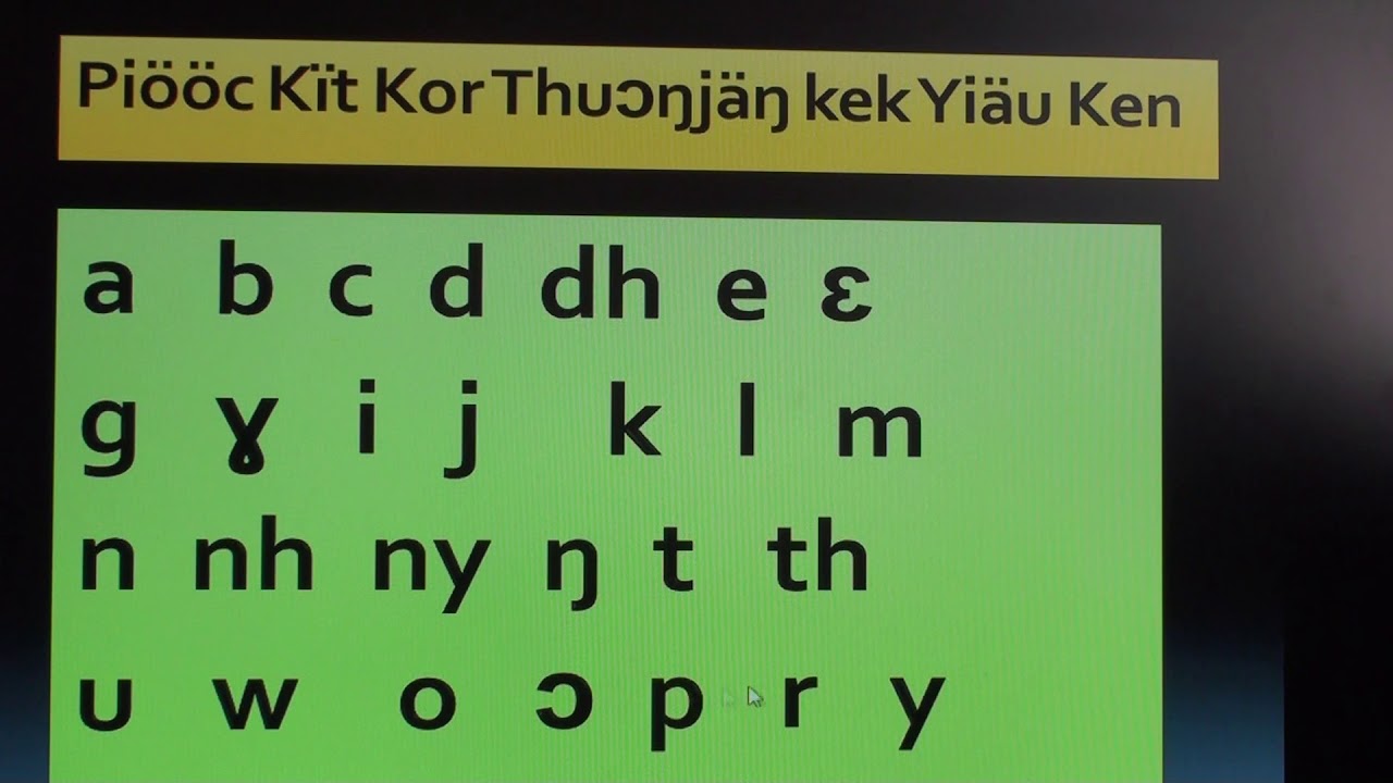 DINKA LANGUAGE DEVELOPMENT SCHOOL SOCIETY