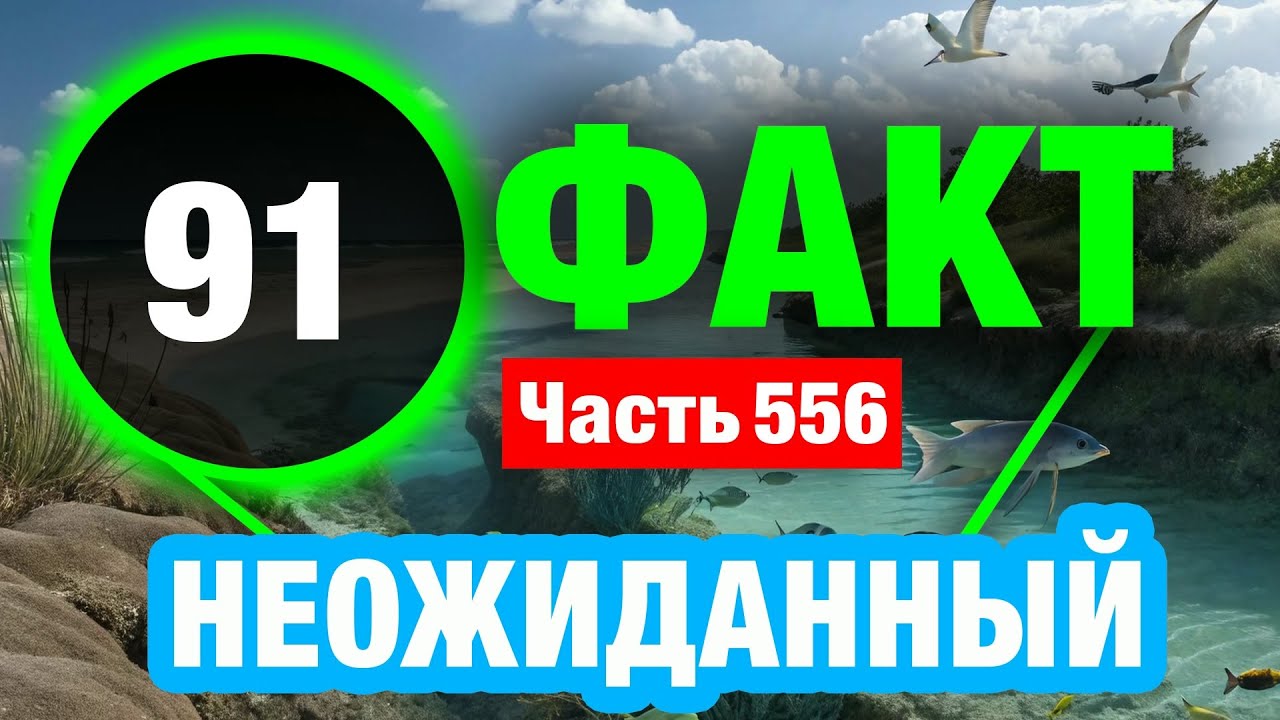 91 Факт, Который Расширит Ваш Кругозор