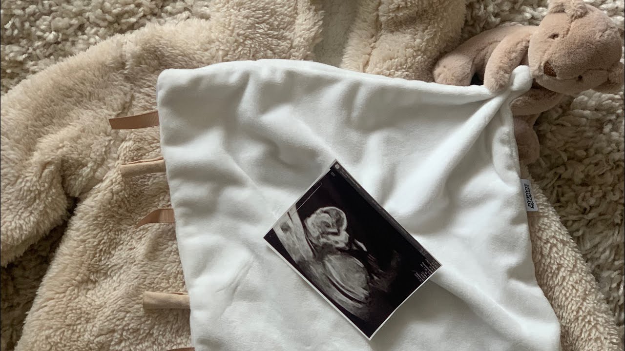 FIRST TRIMESTER VLOG
