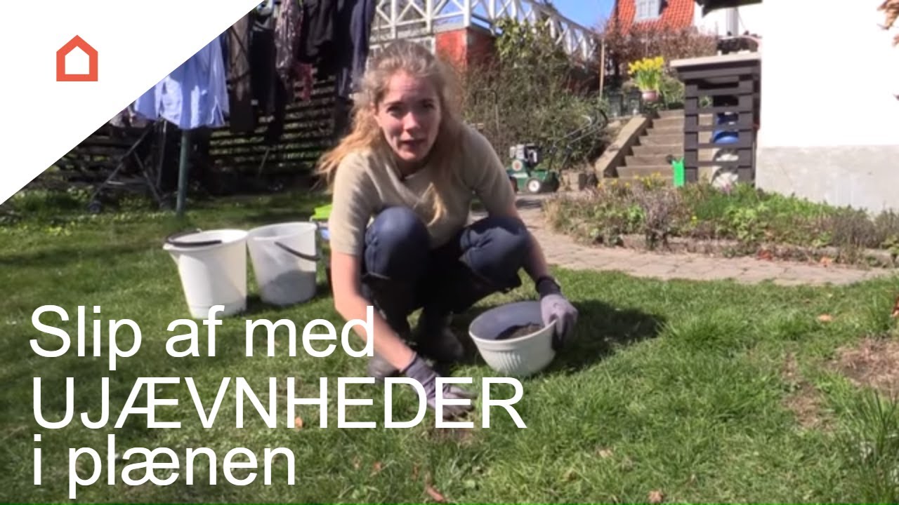 Slip af med uj&aelig;vnheder og huller i din gr&aelig;spl&aelig;ne