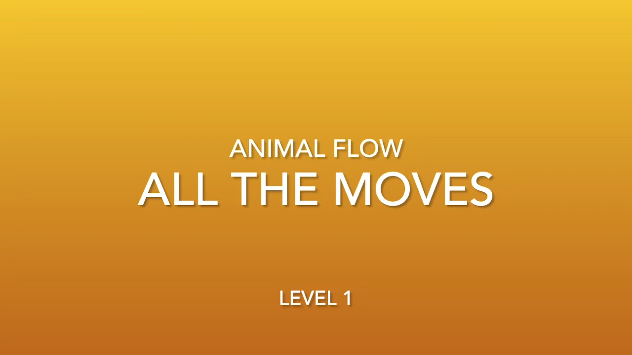 Animal Flow: all the moves from Level 1