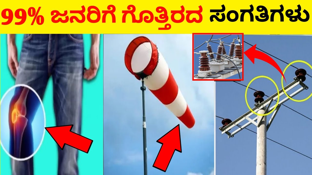Top 12 Interesting And Amazing Facts In Kannada | Unknown Facts | Episode No 133 | InFact Kannada