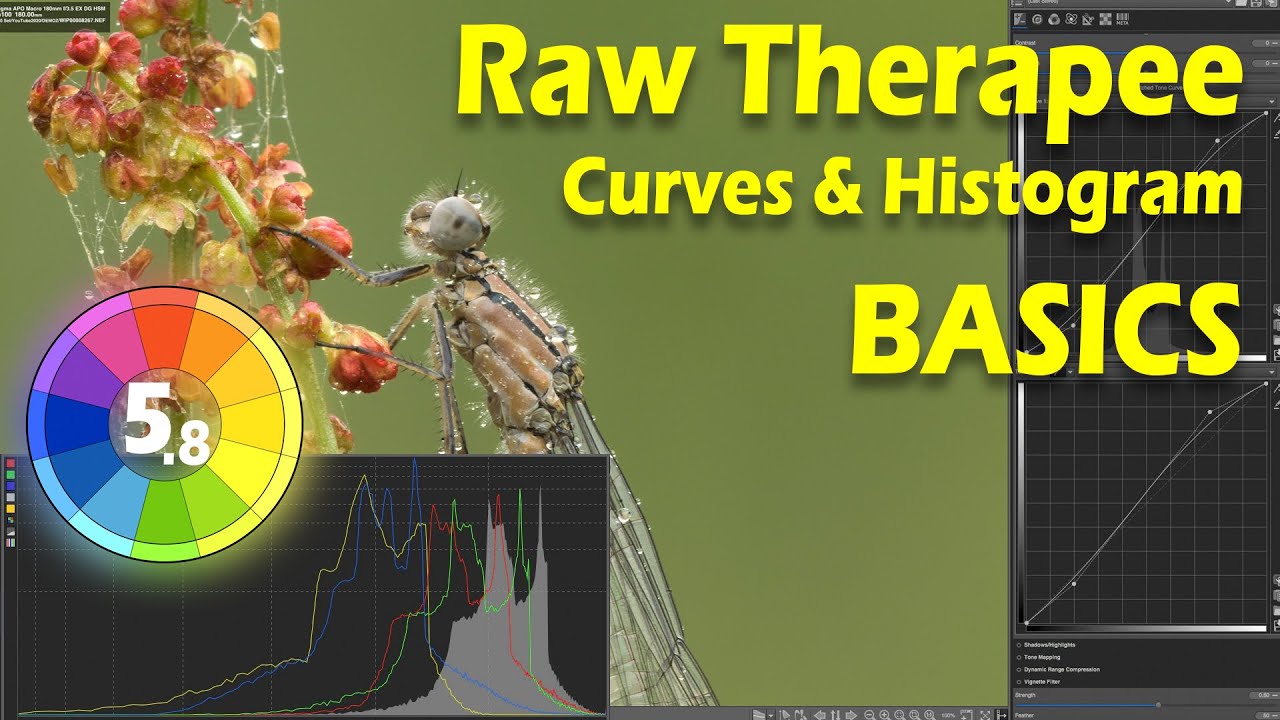 Основы Raw Therapee: кривые и гистограмма