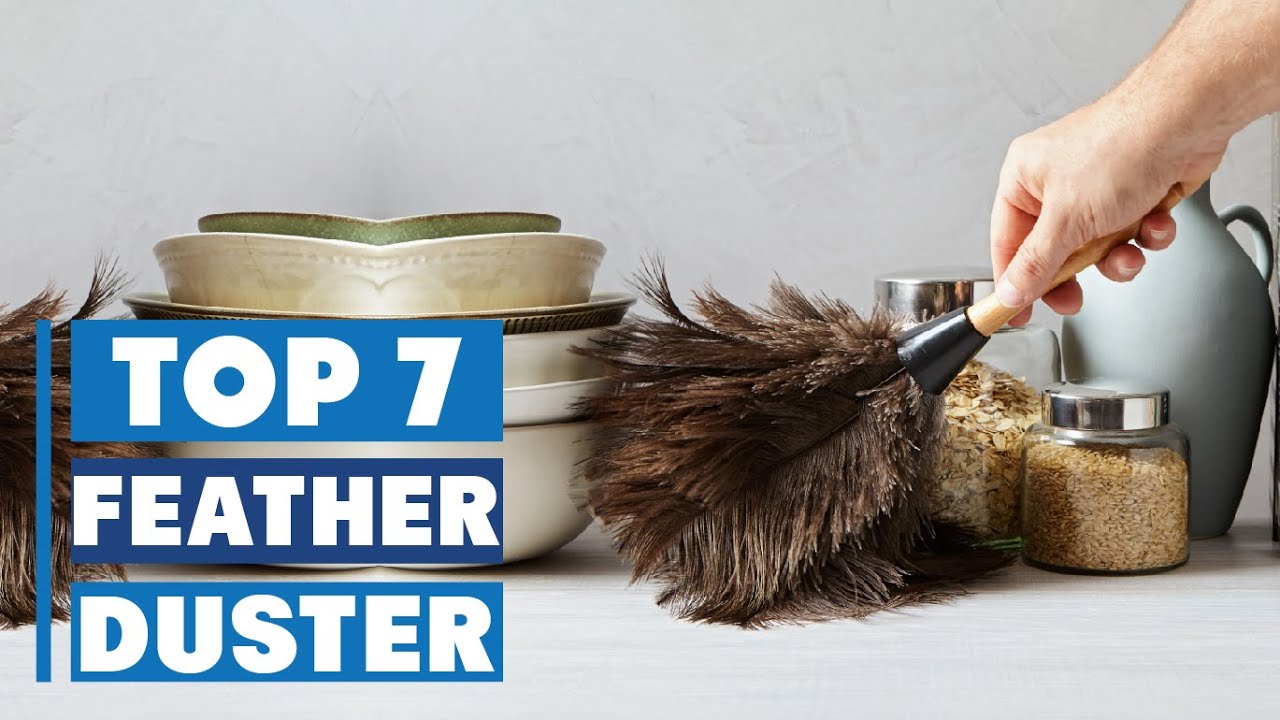Best Feather Duster for Allergies &ndash; Keep Your Home Dust-Free!