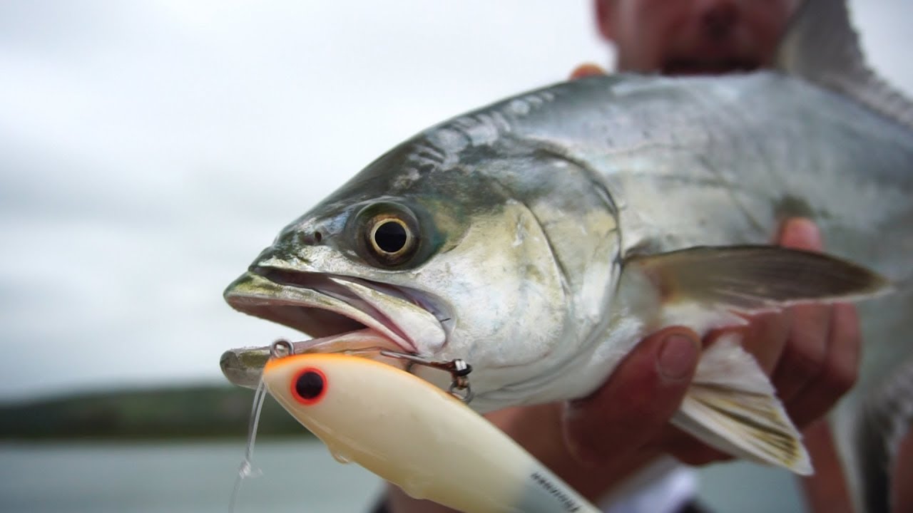 Garrick on Topwater Lure - BaDonk-a-Donk