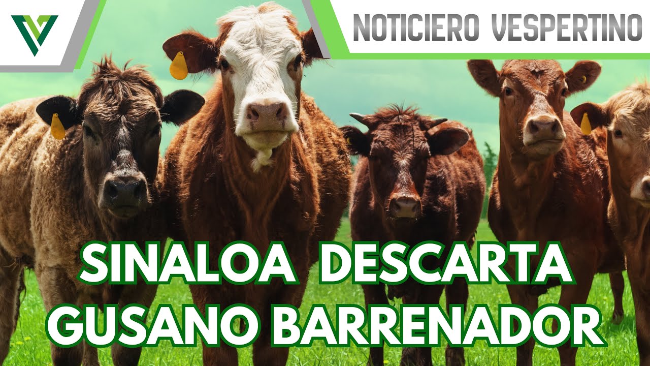 Noticiero Vespertino de Viva la Noticia 08/01/2026