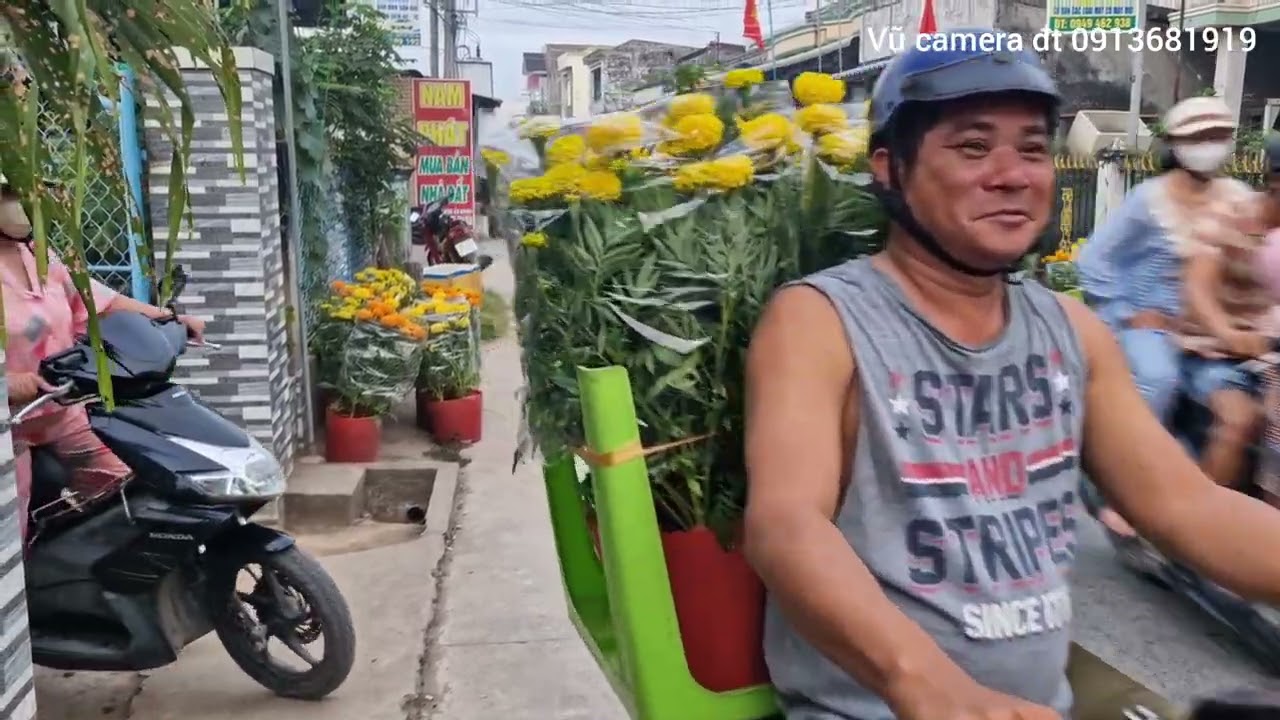 MTQ mua hoa vạn thọ chưng tết ở khu mộ người Hoa ở Bình Đại 
