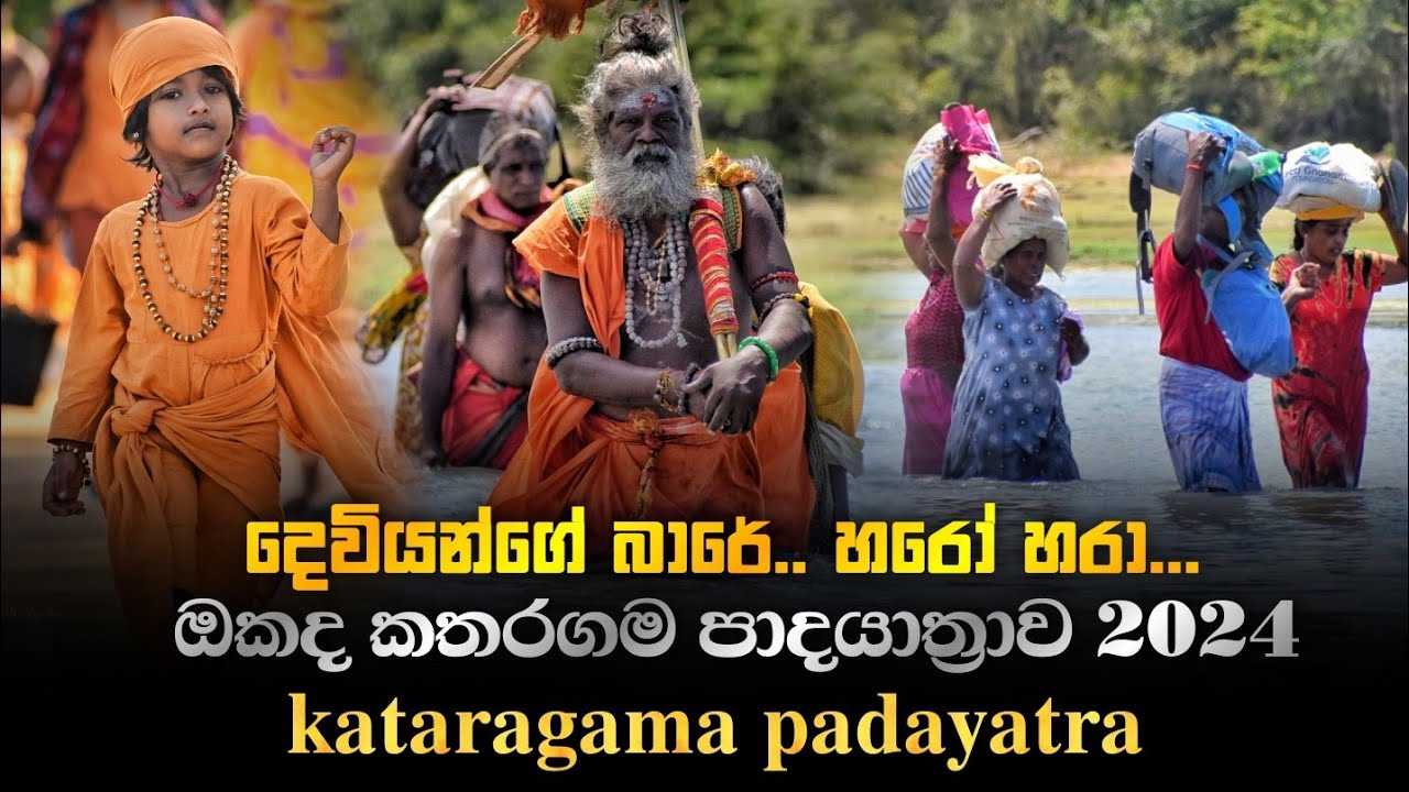 𝙠𝙖𝙩𝙖𝙧𝙖𝙜𝙖𝙢𝙖 𝙥𝙖𝙙𝙖𝙮𝙖𝙩𝙧𝙖 දෙවියන්ගේ බාරේ.🤗🙏🙏 #katharagamawasana #elephante #buddha #hindu #india