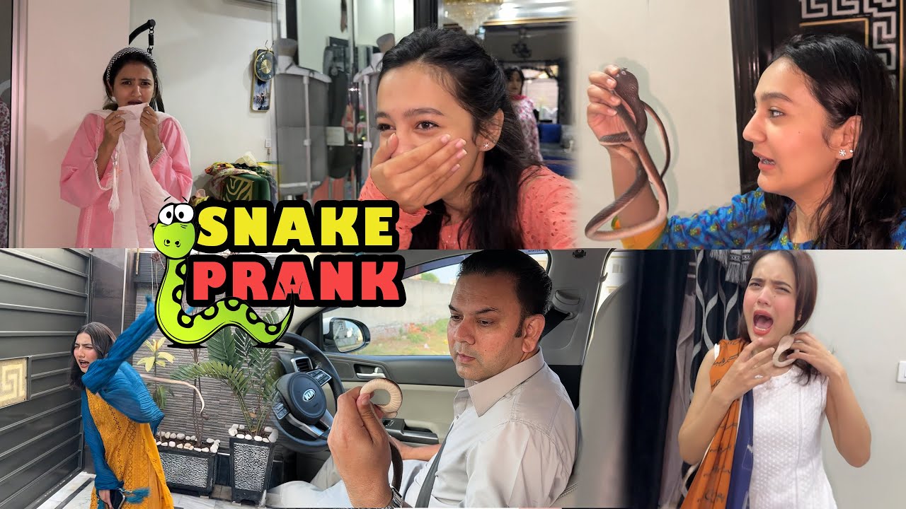 Snake prank 🐍 Sab Dr gyee | Rabia Faisal