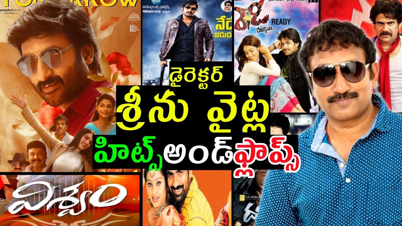 Director Srinu vaitla hits and flops all movies list upto vishwam movie review