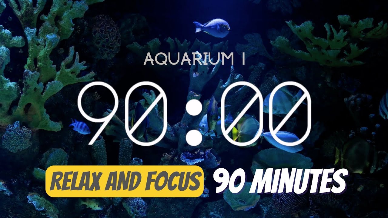 90 minute timer - Relaxing Aquarium atmosphere