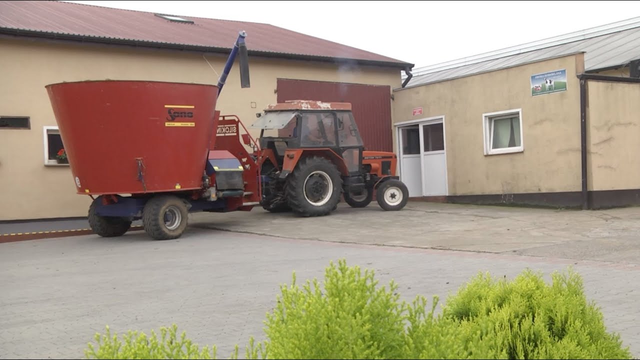 Wóz paszowy Sano to wymieszana pasza,  zbilansowana dawka, brak problemów.
