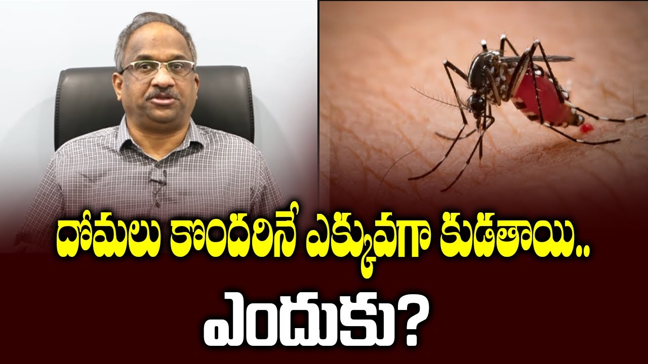 దోమలు కొందరినే ఎక్కువగా కుడతాయి.. ఎందుకు? || How mosquitos know who to bite? ||