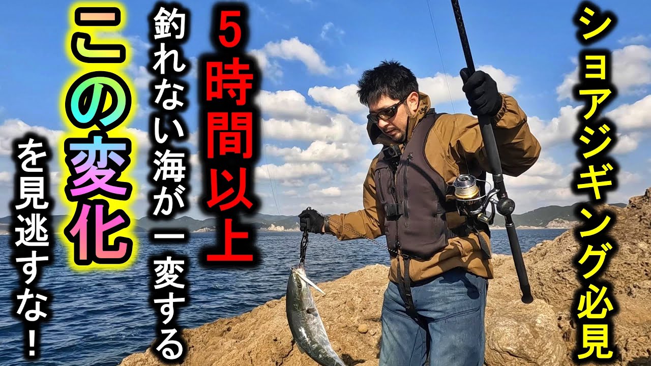 5時間アタリが出ない海に〇〇〇が入った途端…大型青物が狂ったように釣れて楽しすぎます