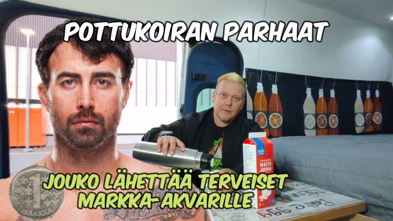 POTTUKOIRA: Päivän parhaat kooste 244/2025 #pottukoira #makwanamirkhani #juhanategelberg