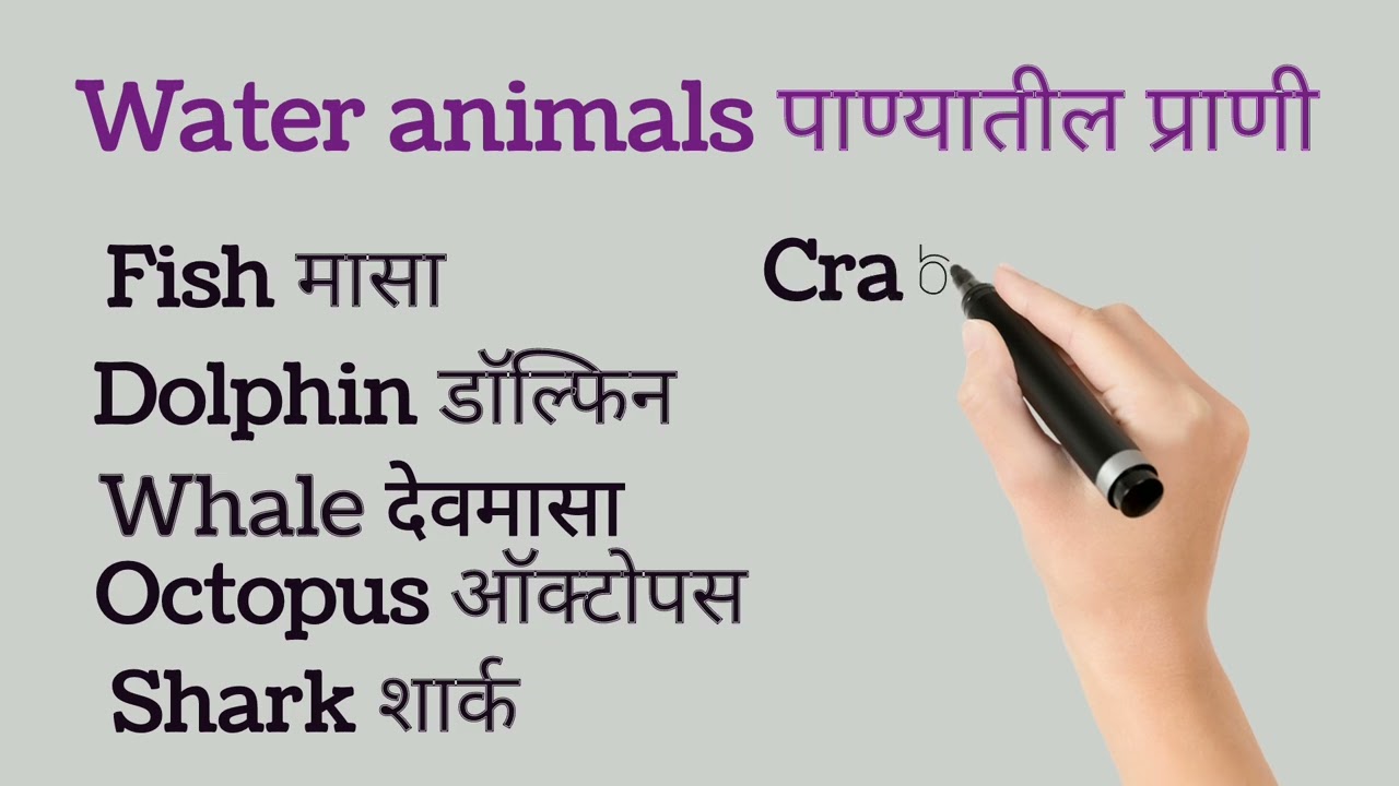 Animals| Types if animals | Their names and type | basic | must know animals names | @D.studypoint |