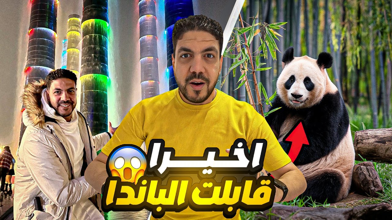 سافرت الصين وقابلت الباندا هل تستحق الزيارة ؟!