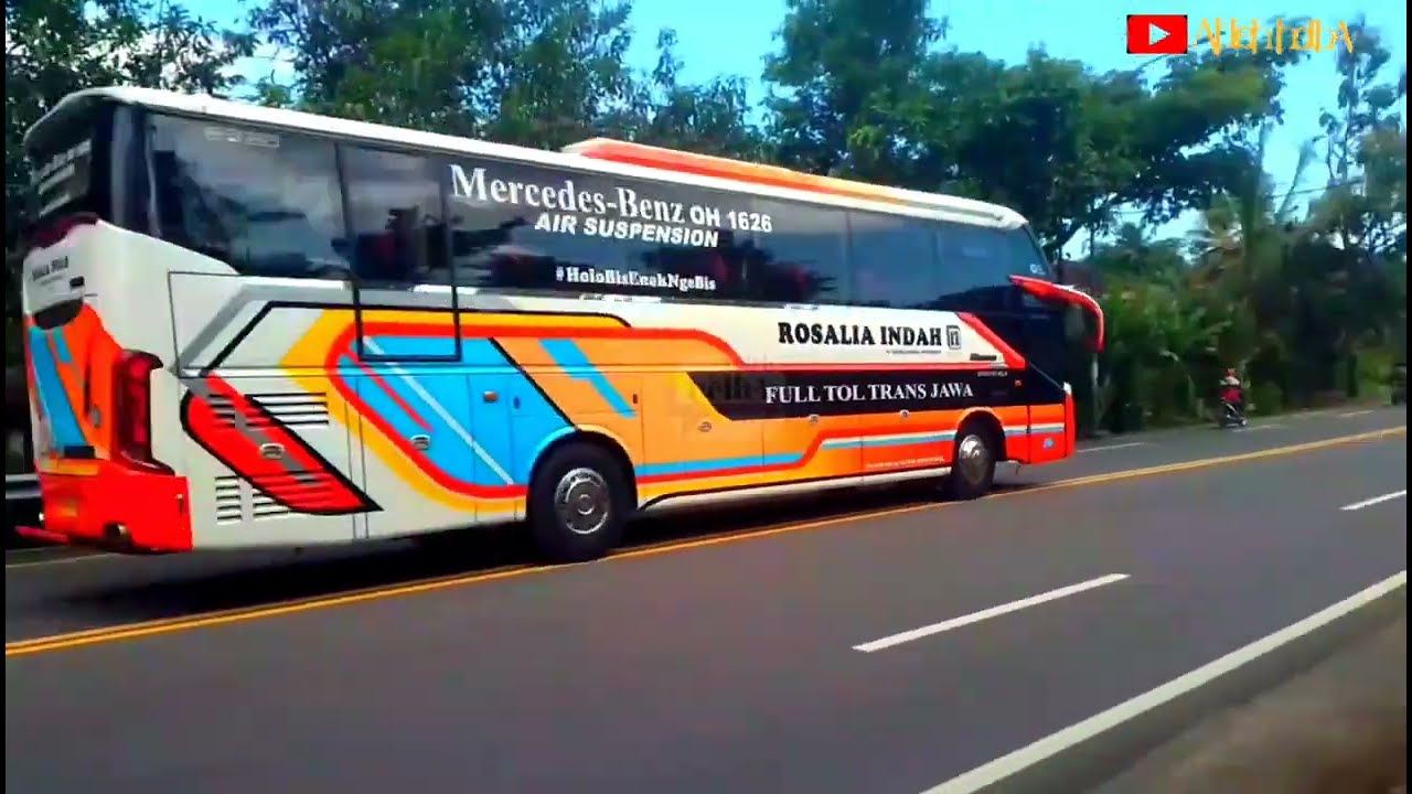 Hunting siang||eka cepat sinar jaya saling kejar ngebloong kiri||efisiensi Rosalia indah soos ‼️